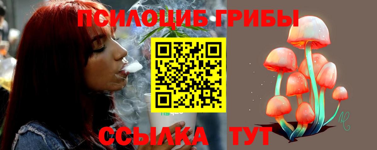 Псилоцибиновые грибы Psilocybe Михайловка